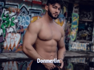 Donmerlin