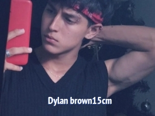 Dylan_brown15cm