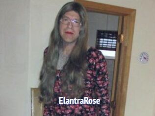 Elantra_Rose