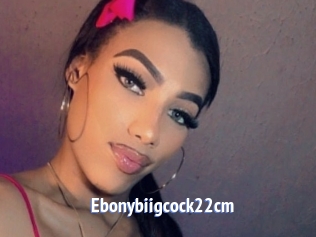 Ebonybiigcock22cm