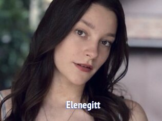 Elenegitt