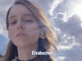 Elvabucher