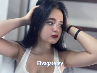 Elvagateley