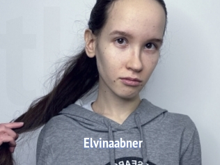 Elvinaabner