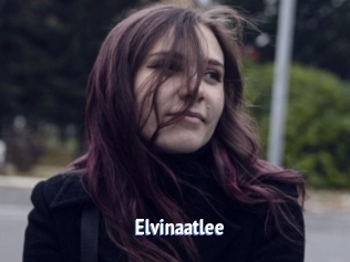 Elvinaatlee