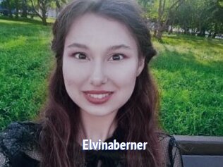 Elvinaberner