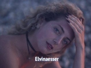 Elvinaesser