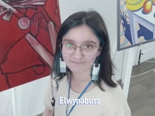 Elwynabuss