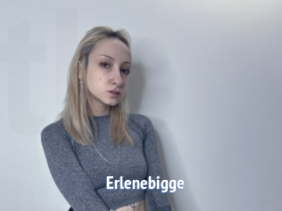 Erlenebigge