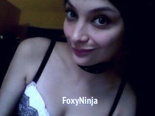 FoxyNinja