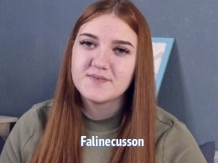 Falinecusson