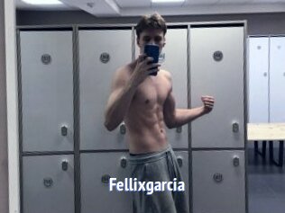 Fellixgarcia