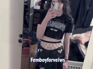 Femboyforveiws