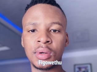 Figowethu