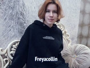 Freyacollin