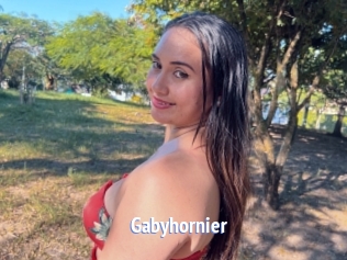 Gabyhornier