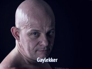 Gaylekker