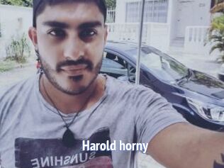 Harold_horny