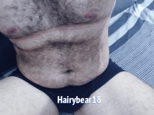 Hairybear18