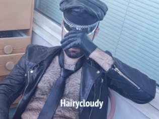 Hairycloudy