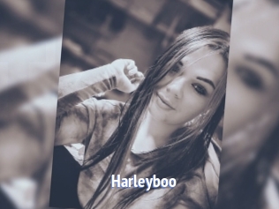 Harleyboo