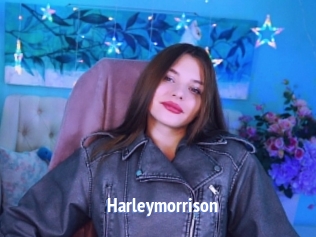 Harleymorrison