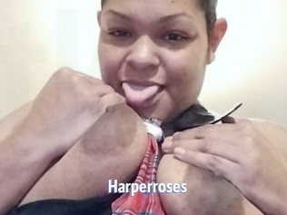 Harperroses