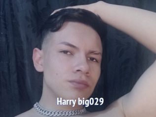 Harry_big029