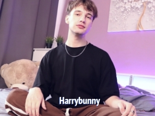 Harrybunny