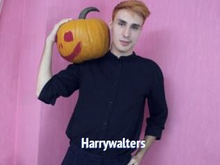 Harrywalters