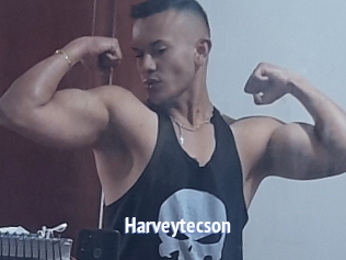 Harveytecson