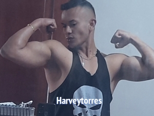 Harveytorres