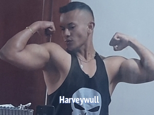 Harveywull