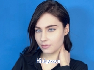 Hildgosson