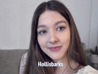 Hollisbarks