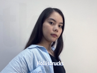 Hollisbrucks