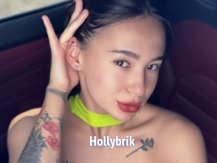 Hollybrik