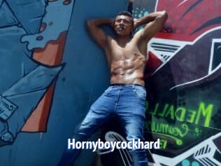 Hornyboycockhard