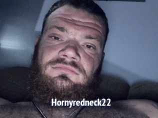 Hornyredneck22