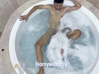 Hornywildboy