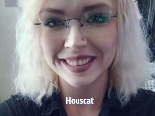 Houscat