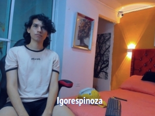 Igorespinoza