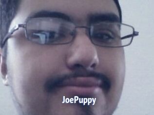 JoePuppy