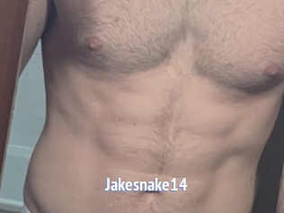 Jakesnake14