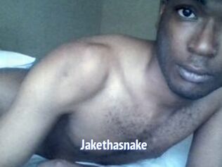 Jake_tha_snake