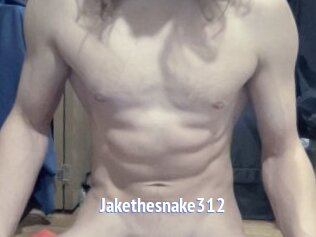 Jakethesnake312