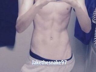 Jakethesnake97