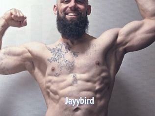 Jayybird