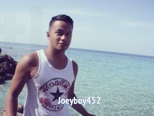 Joeyboy452