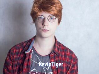 KevinTiger